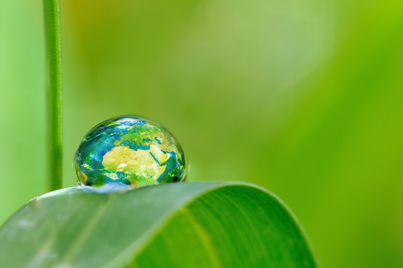 Water conservation. How can I help?