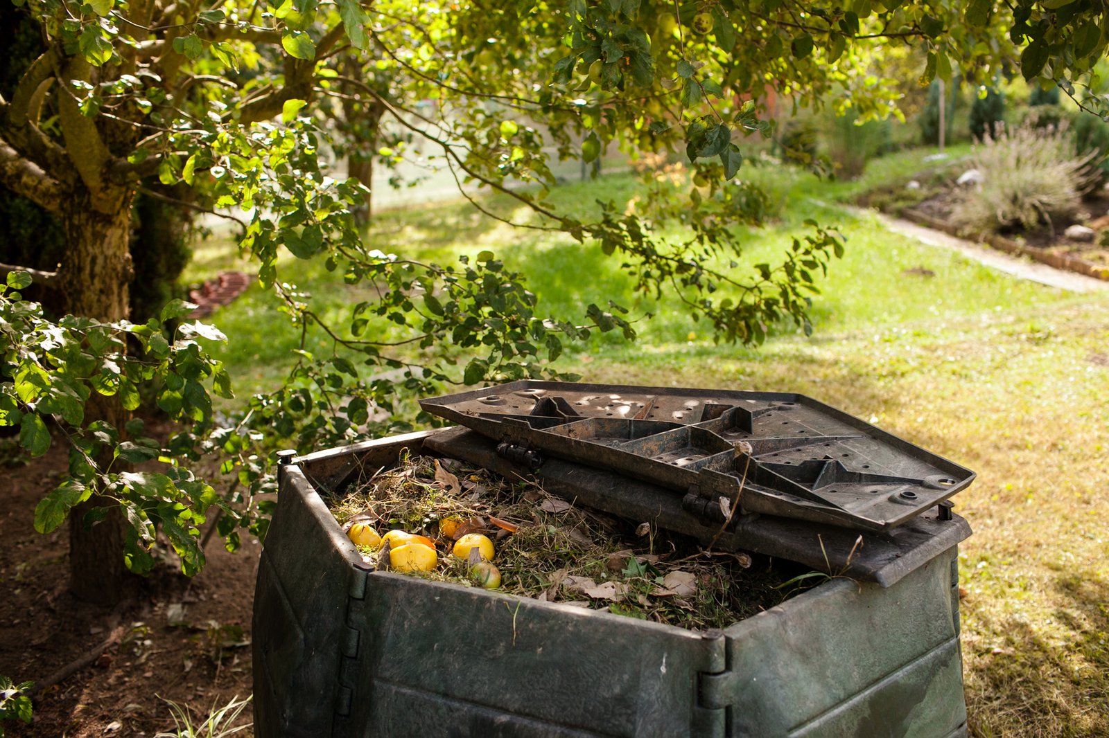 Home composting. How can I improve my garden using waste?