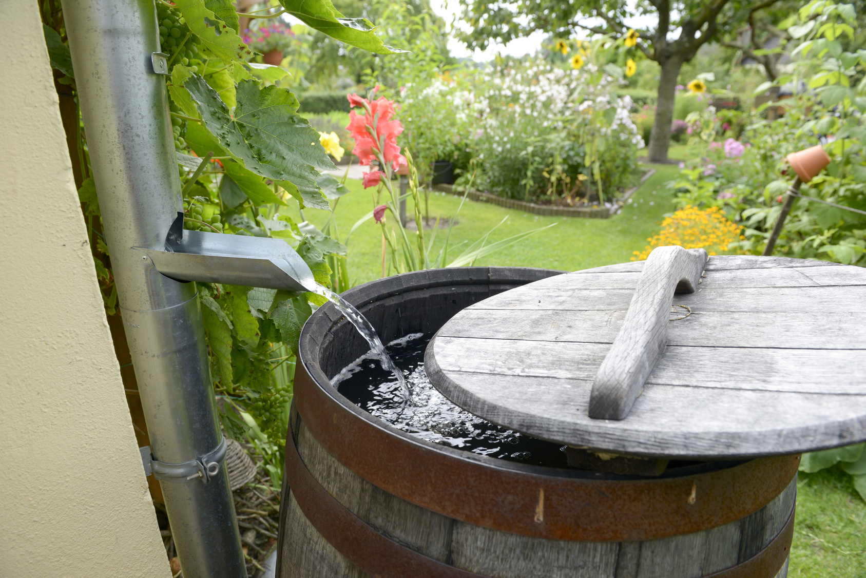 Rainwater Harvesting. How Do I Take Advantage Of The Free Water That ...