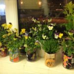 gardening cups home kitchen flowers