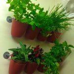hanging garden herbs spices