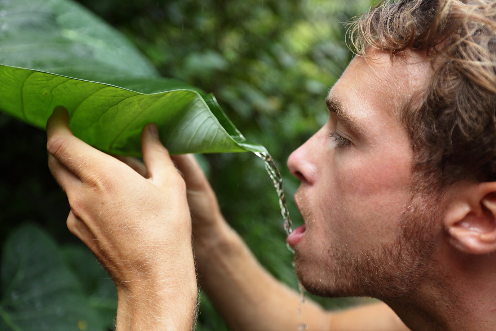 Making rainwater fit for drinking