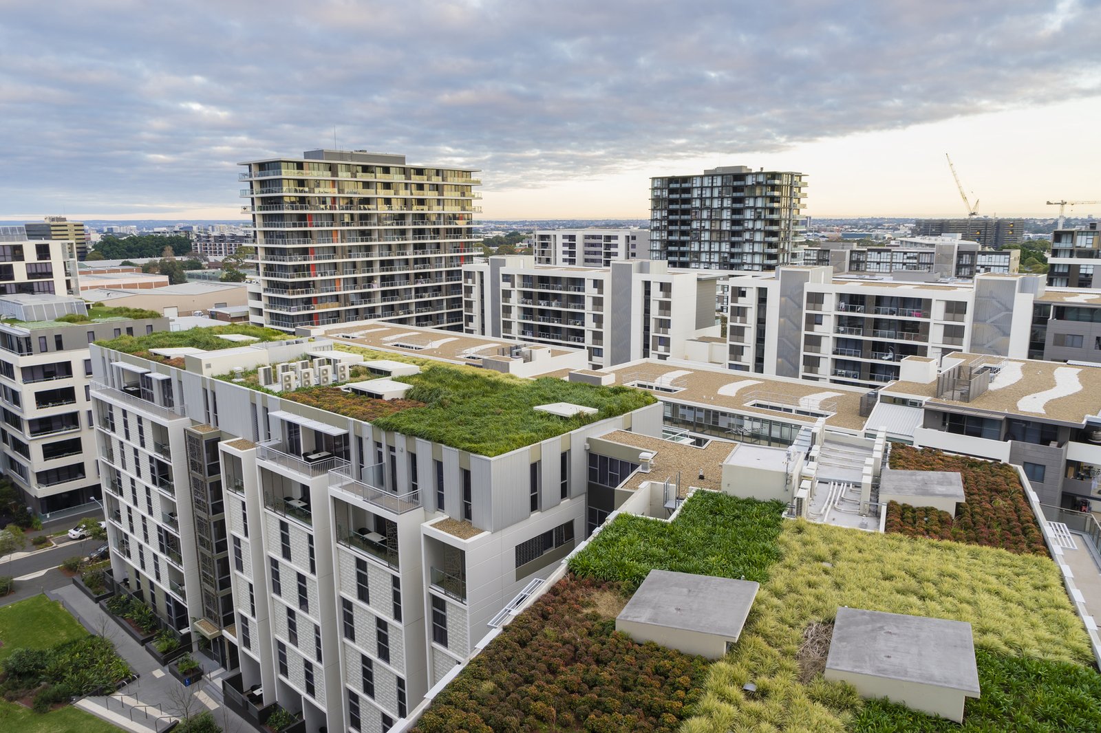 Green roofs and their benefits