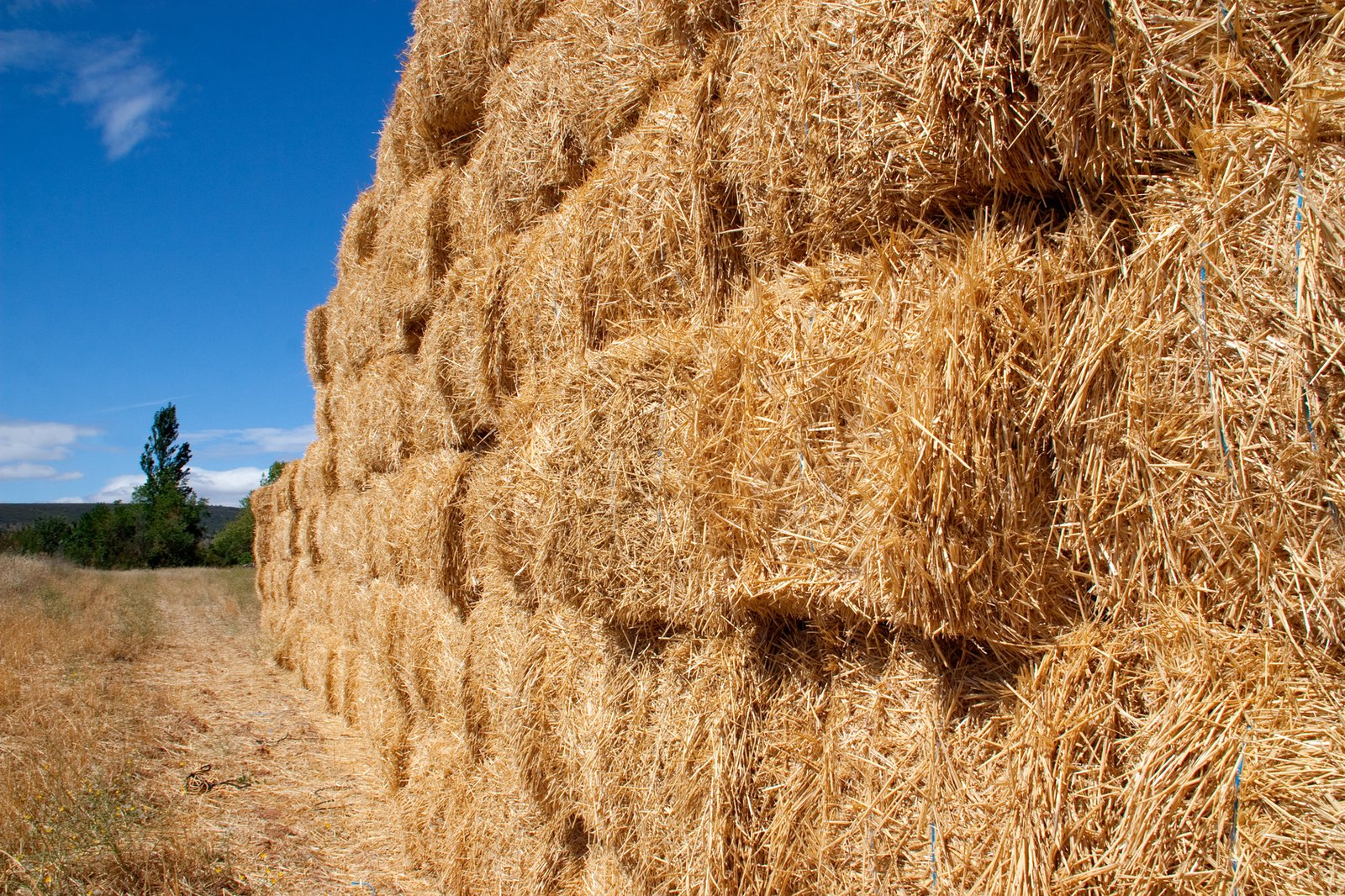 Straw-bale homes