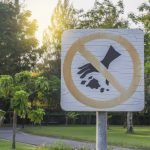 no littering sign in a park full of trees
